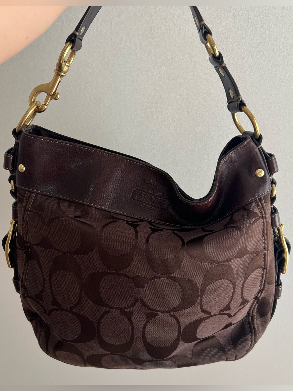 Coach Zoe Signature Large Hobo Shoulder Bag